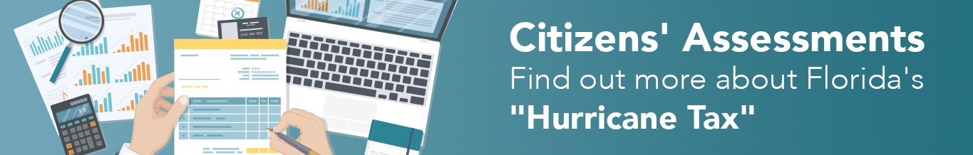 Citizens' Assessments: Find out more about Florida's 